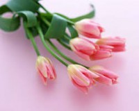 /album/galerie-foto/images-5-jpg/